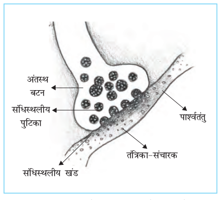 Screenshot from 2019-06-08 19-10-24